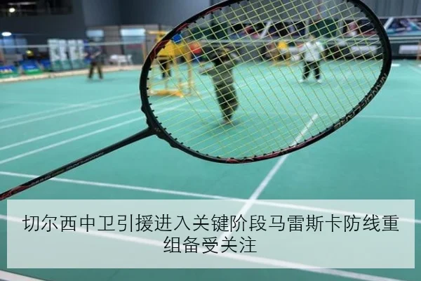 切尔西中卫引援进入关键阶段马雷斯卡防线重组备受关注